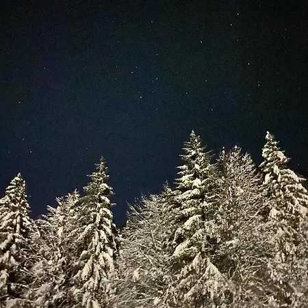 Apartma Rozi Apartman